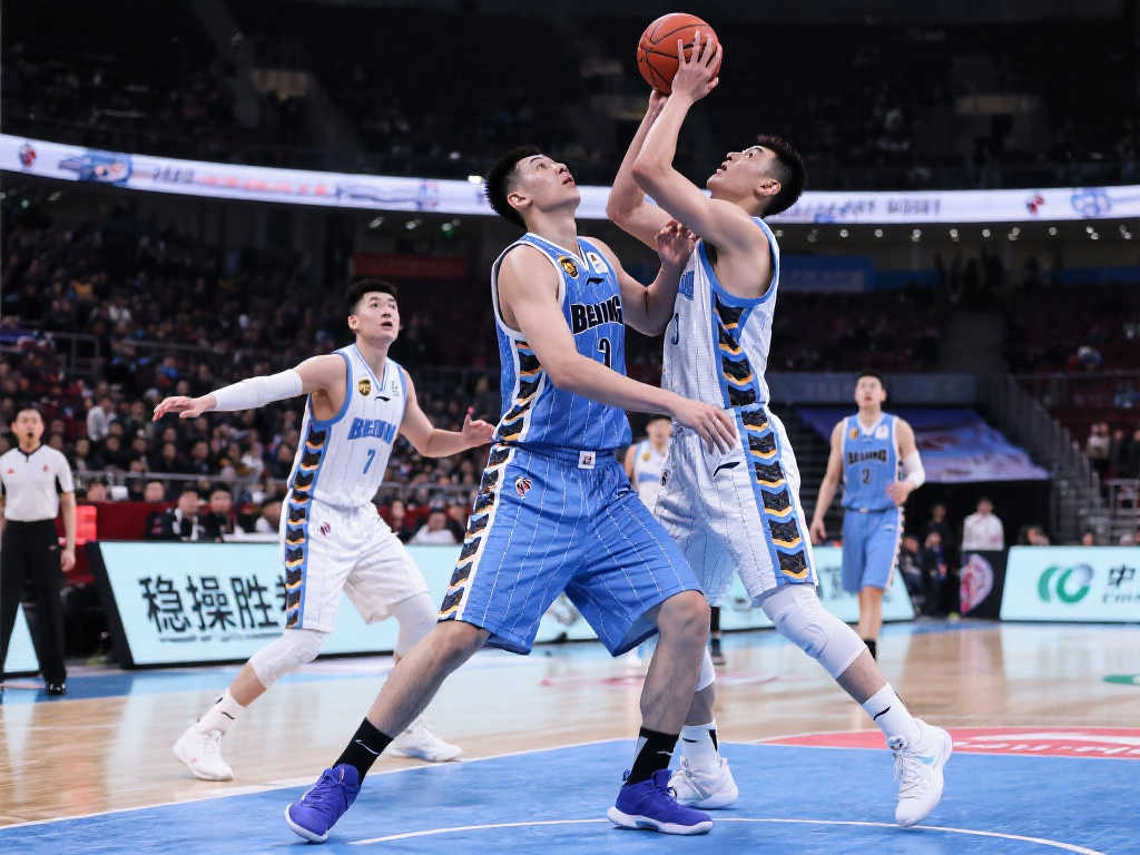 一个典型的 一个典型的