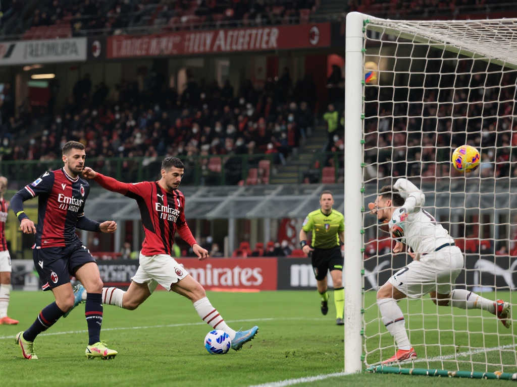 他的状态 他的状态